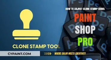 Clone Stamp Tool: Adjusting for Corel Paint Shop Pro