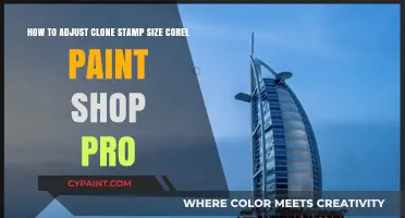 Mastering Clone Stamp Size Adjustments in Corel PaintShop Pro