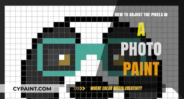 Adjusting Photo Paint Pixels: Easy Steps to Perfection