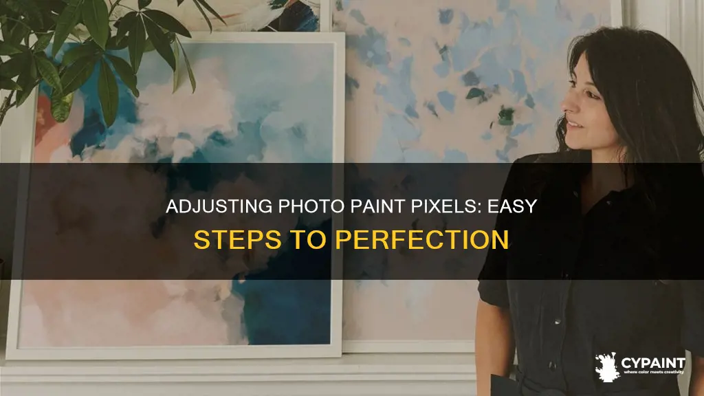 how to adjust the pixels in a photo paint