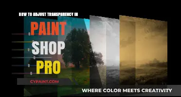 Mastering Transparency Adjustments in Paint Shop Pro: A Step-by-Step Guide