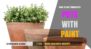 Aging Terracotta Pots: Easy Paint Techniques for Vintage Charm