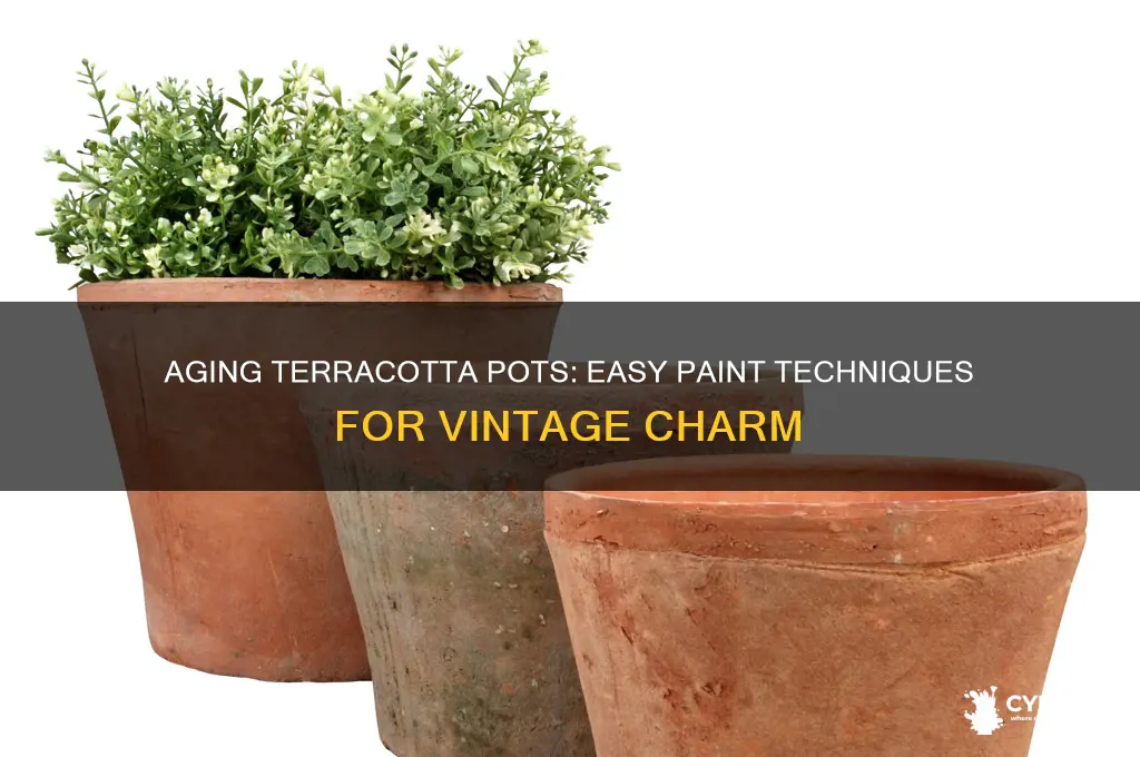 how to age terracotta pots with paint