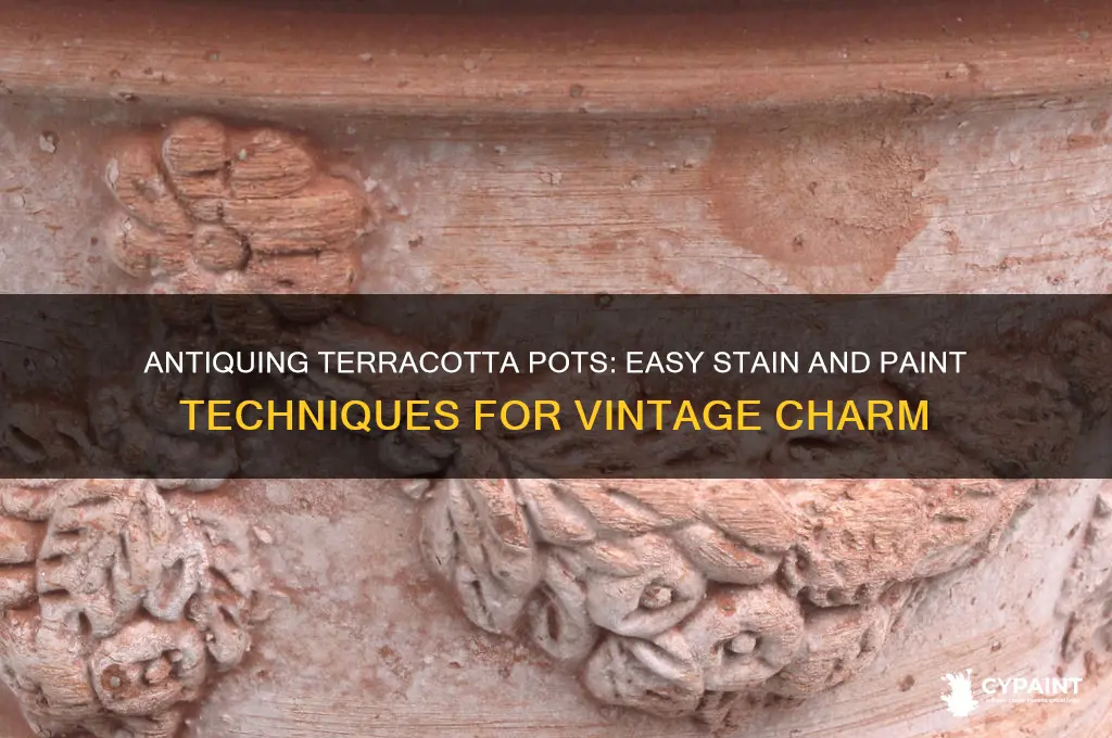 how to antique a terracotta pot with stain and paint