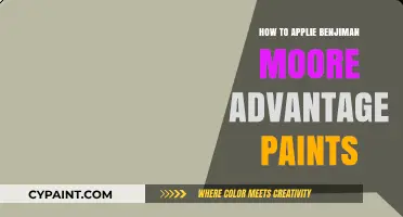 Mastering Benjamin Moore Advantage Paints: A Step-by-Step Application Guide