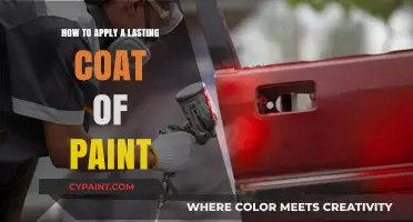 Mastering the Art of Applying a Long-Lasting Paint Coat