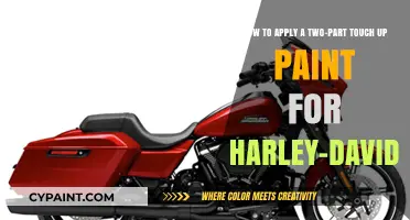 Mastering Harley-Davidson Touch-Up Paint: A Two-Part Application Guide