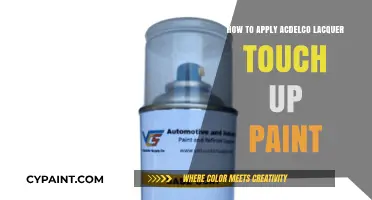 Mastering ACDelco Lacquer Touch-Up Paint Application: A Step-by-Step Guide