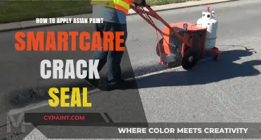 Mastering Asian Paint SmartCare Crack Seal Application: A Step-by-Step Guide