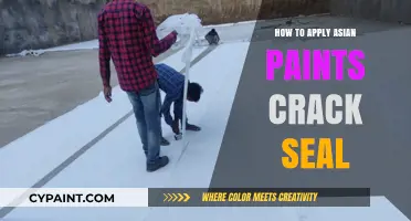 Step-by-Step Guide: Applying Asian Paints Crack Seal Effectively