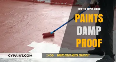 Mastering Damp Proof Application with Asian Paints: A Step-by-Step Guide
