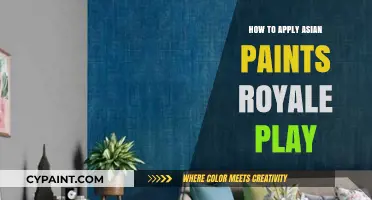 Mastering Asian Paints Royale Play: A Step-by-Step Application Guide