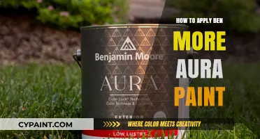 Mastering Ben Moore Aura Paint Application: Tips for a Flawless Finish