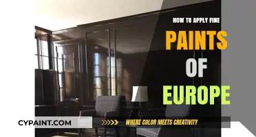Mastering the Art of Applying Fine Paints of Europe