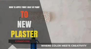 Mastering the First Coat: Painting New Plaster Like a Pro