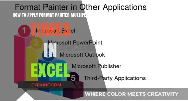 Quickly Apply Format Painter Multiple Times in Excel