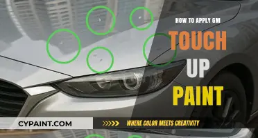 Mastering GM Touch Up Paint: A Step-by-Step Application Guide