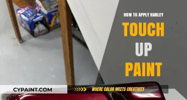 Mastering Harley Touch Up Paint: A Step-by-Step Application Guide