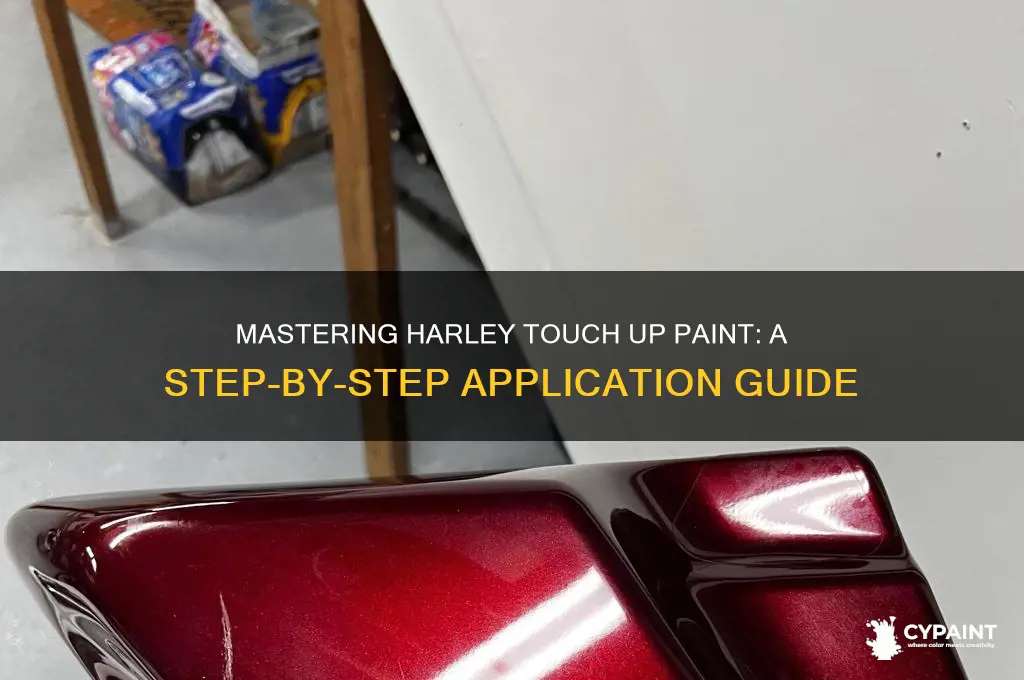 how to apply harley touch up paint
