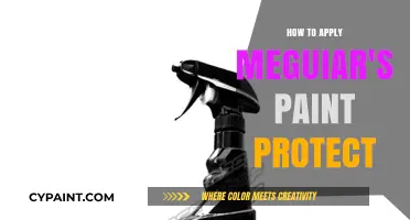 Mastering Meguiar's Paint Protect: A Step-by-Step Application Guide