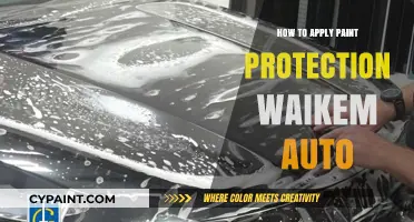Waikem Auto Paint Protection: Easy Application Guide for Long-Lasting Shine
