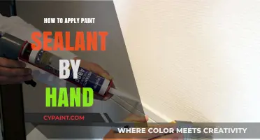 Mastering Paint Sealant Application: A Step-by-Step Hand Application Guide