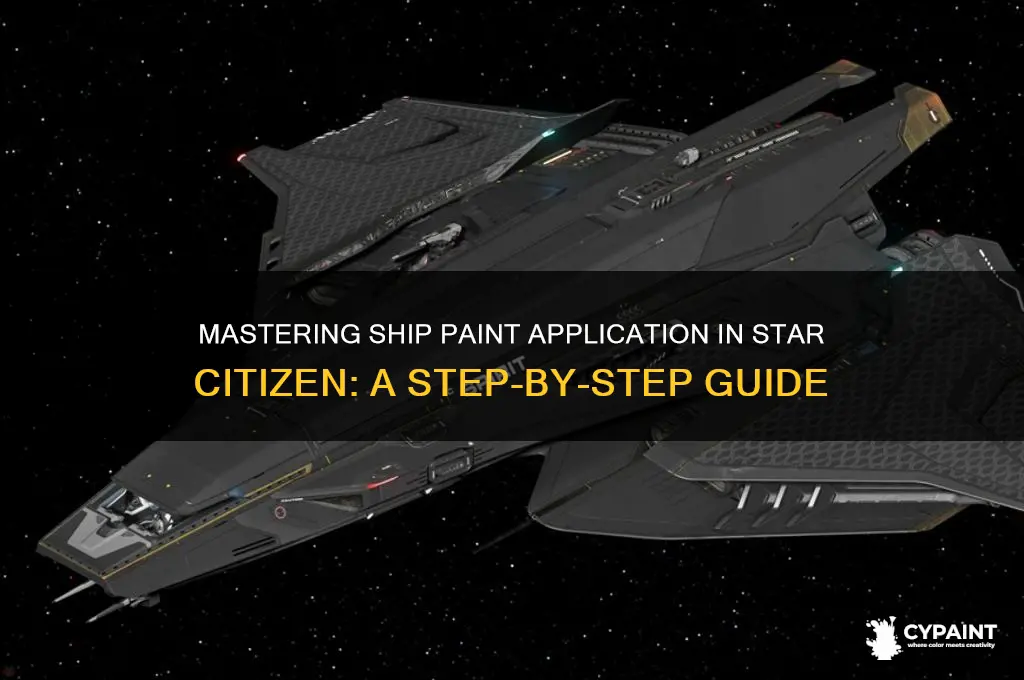 how to apply paint to ship star citizen