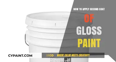 Mastering Gloss Paint: Tips for Applying a Flawless Second Coat