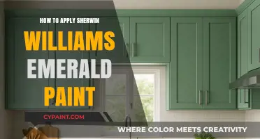 Mastering Sherwin Williams Emerald Paint Application: Tips for a Flawless Finish