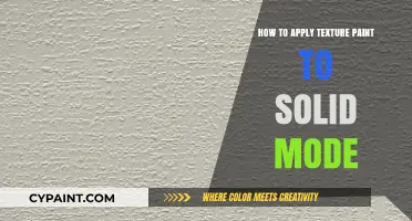 Mastering Texture Paint Application in Solid Mode: A Step-by-Step Guide
