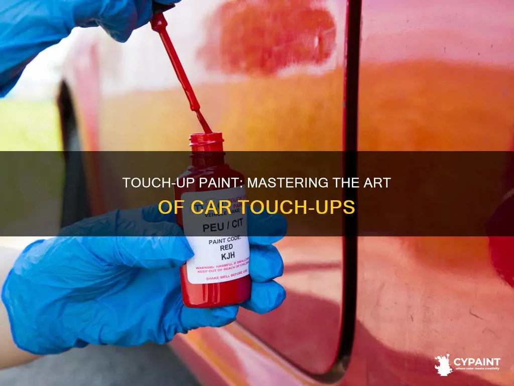 how to apply touch up paint on a vehicle