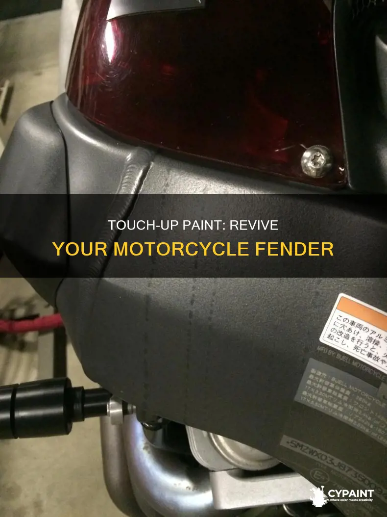 how to apply touch up paint on motorcycle fender