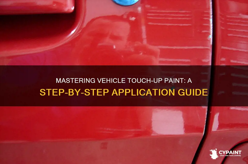 how to apply touch up paint on vehicle