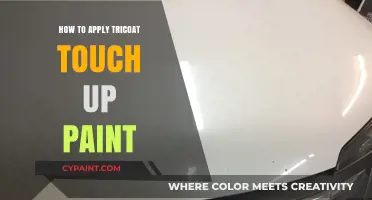 Mastering Tricoat Touch-Up Paint: A Step-by-Step Application Guide