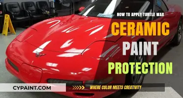 Mastering Turtle Wax Ceramic Paint Protection Application: A Step-by-Step Guide