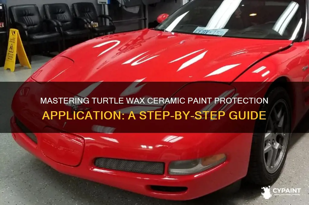 how to apply turtle wax ceramic paint protection