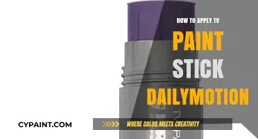 Mastering TV Paint Stick: A Step-by-Step Dailymotion Application Guide
