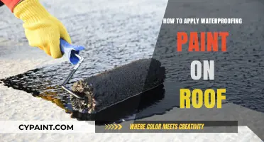 Effective Roof Waterproofing: Step-by-Step Guide to Applying Paint