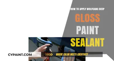 Mastering Wolfgang Deep Gloss Paint Sealant Application for a Mirror-Like Shine