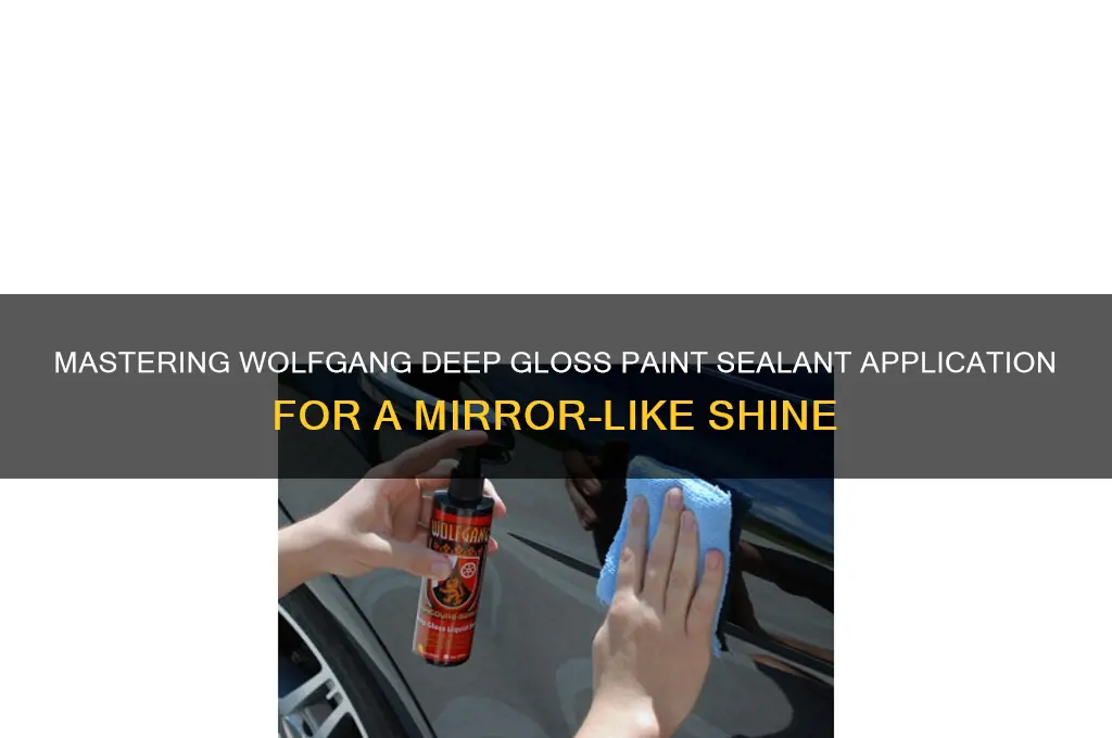 how to apply wolfgang deep gloss paint sealant