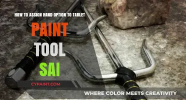 Assigning Hand Tool Options in Paint Tool SAI: A Quick Guide
