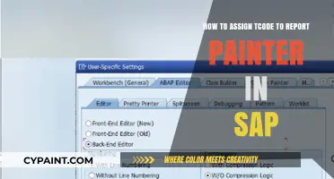 Report Painter TCode Assignment in SAP: A Guide