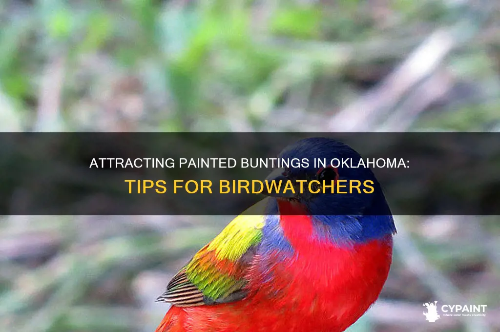 how to attract painted buntings in oklahoma