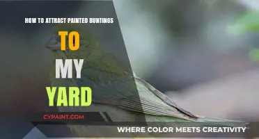 Attracting Painted Buntings: Tips for a Vibrant Backyard Bird Haven