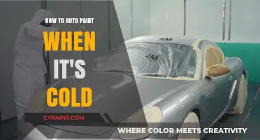Mastering Auto Painting in Cold Weather: Tips for Flawless Results