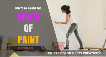 One Coat Wonder: Tips to Paint Perfectly the First Time