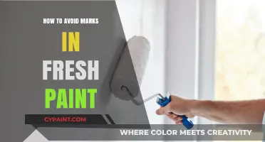 Prevent Paint Marks: Tips for Flawless Freshly Painted Surfaces