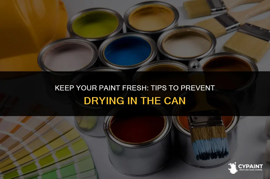 how to avoid paint drying in the can