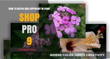 Efficiently Batch Add Copyright Watermarks in Paint Shop Pro 9