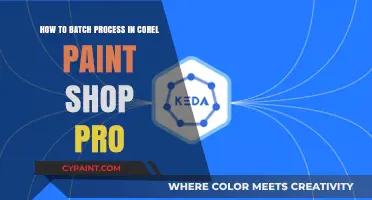 Batch Processing in Corel Paint Shop Pro: A Guide